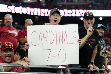 rizona Cardinals fans celebrate their win over the Houston Texans at State Farm Stadium