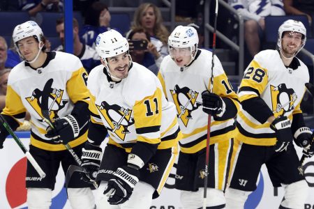 Pittsburgh Penguins teammates celebrate a goal