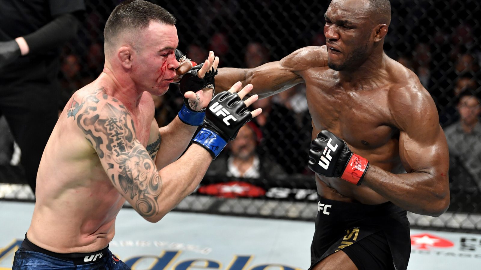 UFC 245: Usman v Covington