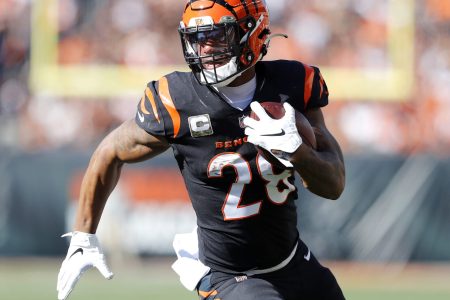 Cincinnati Bengals running back Joe Mixon (28) runs in for the touchdown during the first quarter against the Cleveland Browns at Paul Brown Stadium.