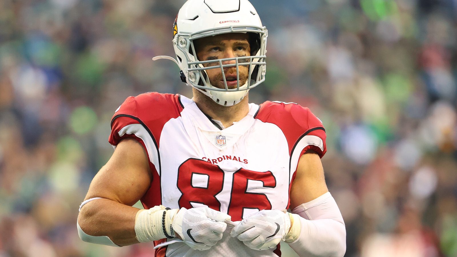 Zach Ertz #86 of the Arizona Cardinals looks on against the Seattle Seahawks during the fourth quarter at Lumen Field on November 21, 2021 in Seattle, Washington.