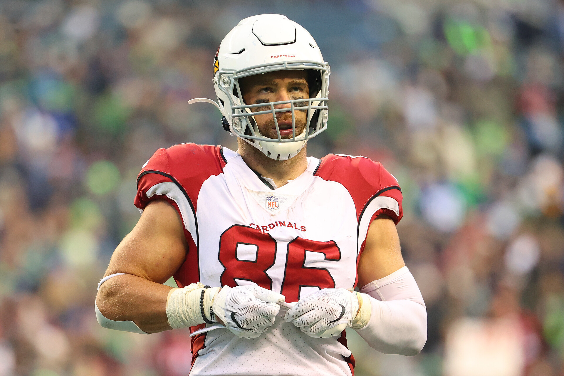 Zach Ertz #86 of the Arizona Cardinals looks on against the Seattle Seahawks during the fourth quarter at Lumen Field on November 21, 2021 in Seattle, Washington.