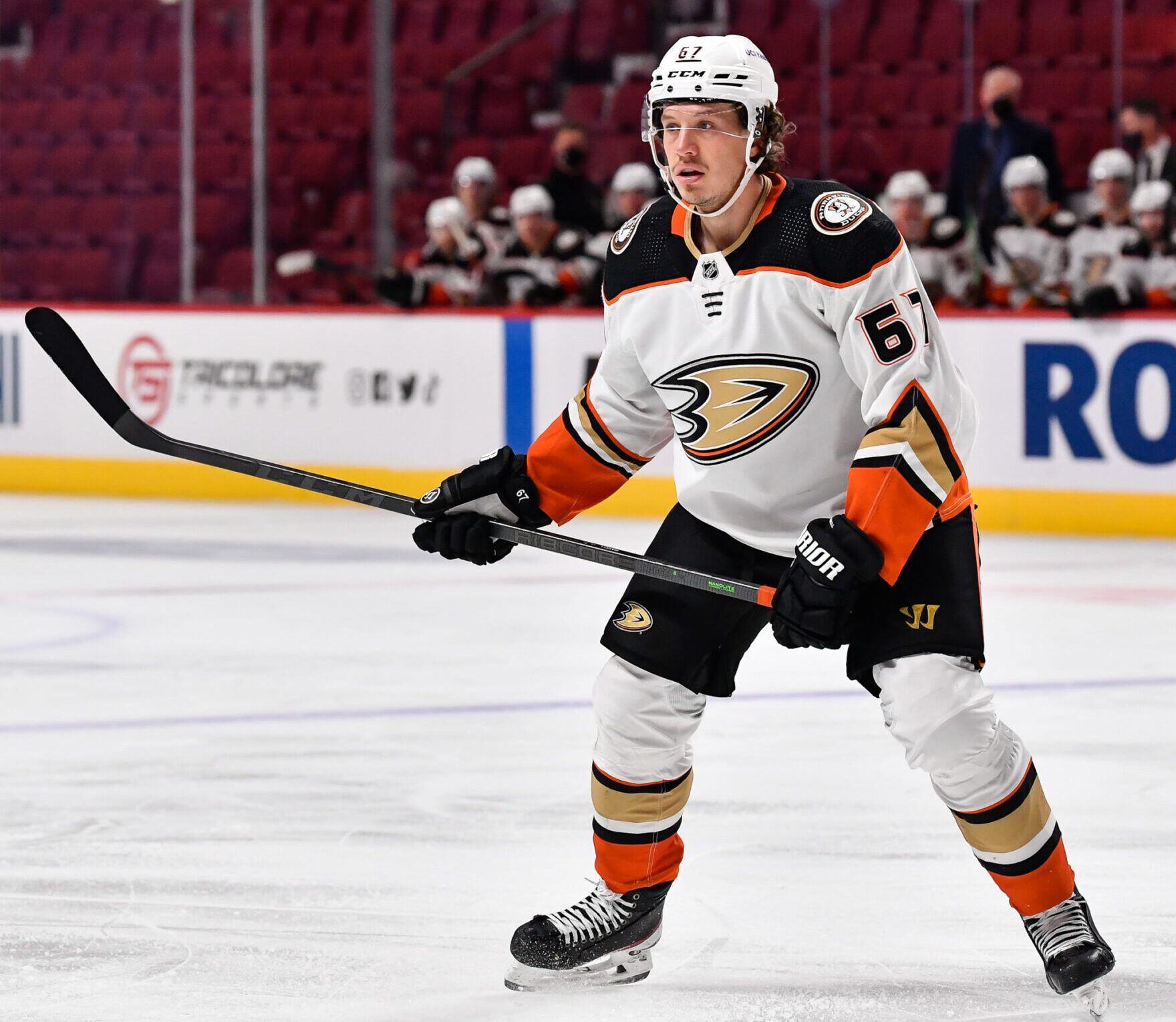 Rickard Rakell #67 of the Anaheim Ducks skates against the Montreal Canadiens during the third period at Centre Bell
