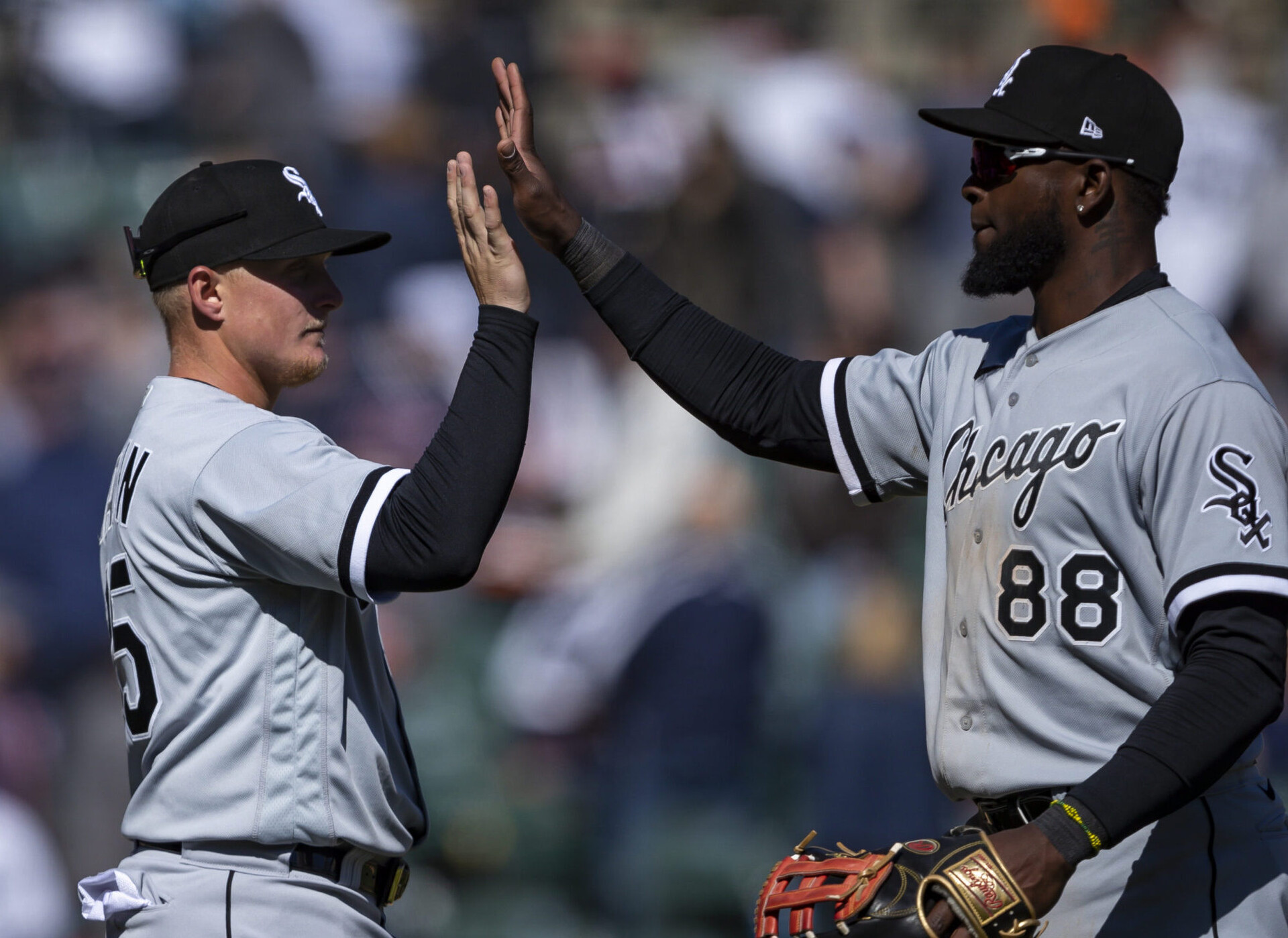 Chicago White Sox center fielder Luis Robert, right, celebrates with designated hitter Andrew Vaughn, left, after the game against the Detroit Tigers at Comerica Park on April 10, 2022.