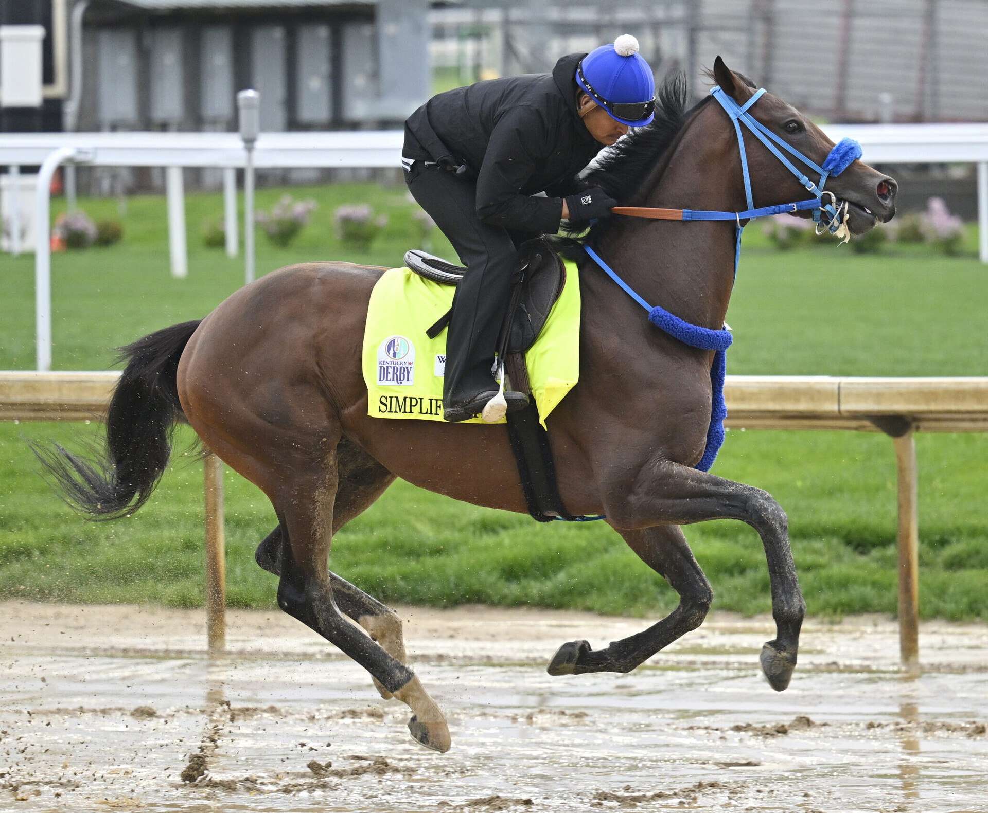 An exercise rider works Kentucky Derby entry Simplification during morning workouts at Churchill Downs.