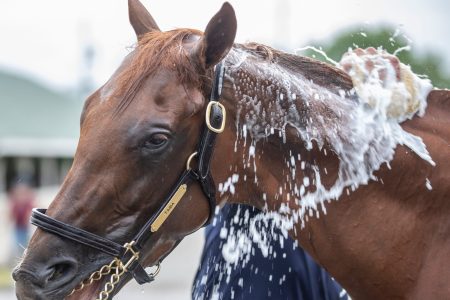 Kentucky Derby hopeful Epicenter is bathed on the backside at Churchill Downs. May 3, 2022 Af5i2914