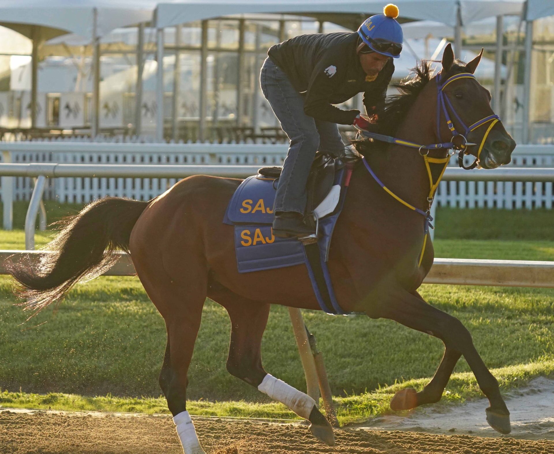 Preakness Stakes horse Skippylongstocking goes for a run under an unidentified trainer during morning workouts at Pimlico Race Course.