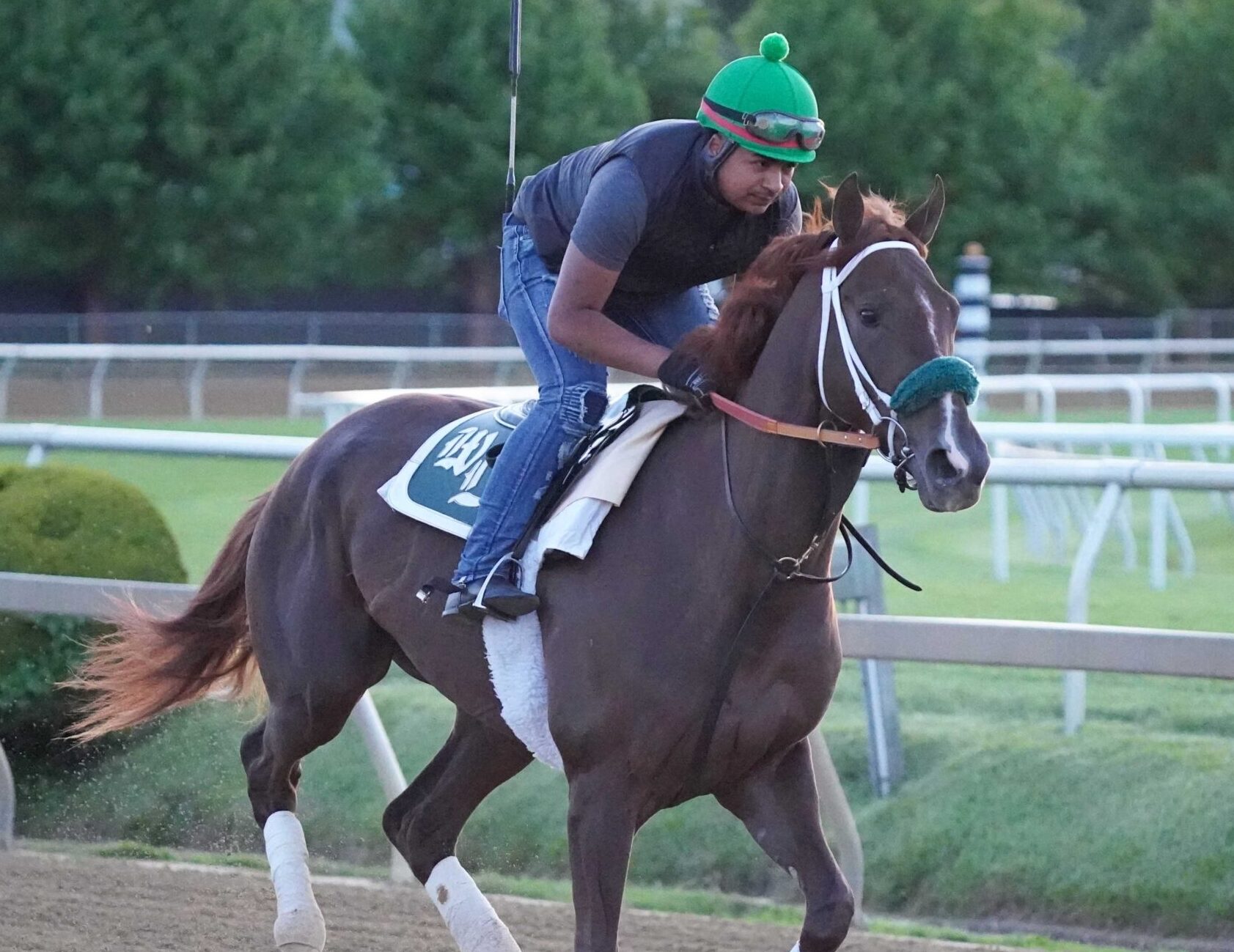 An unidentified trainer ride 2022 Preakness Stakes contender Secret Oath during morning workouts at Pimlico Race Course