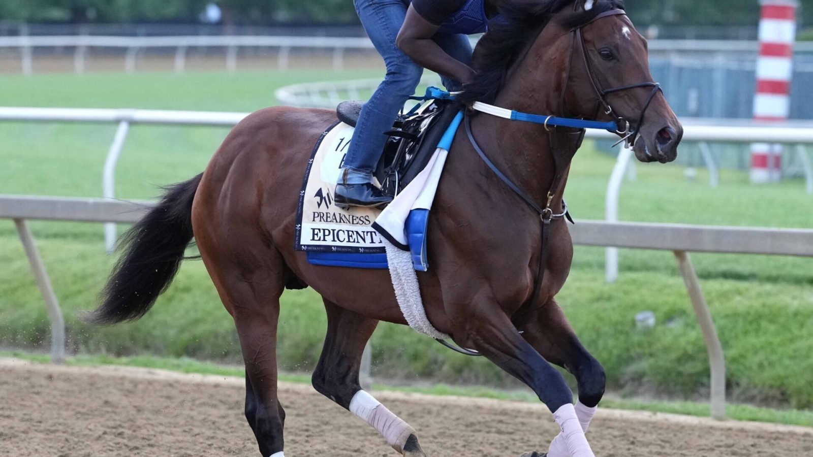 An unidentified trainer rides Epicenter through a morning workout at Pimlico Race Course ahead of the 2022 Preakness Stakes