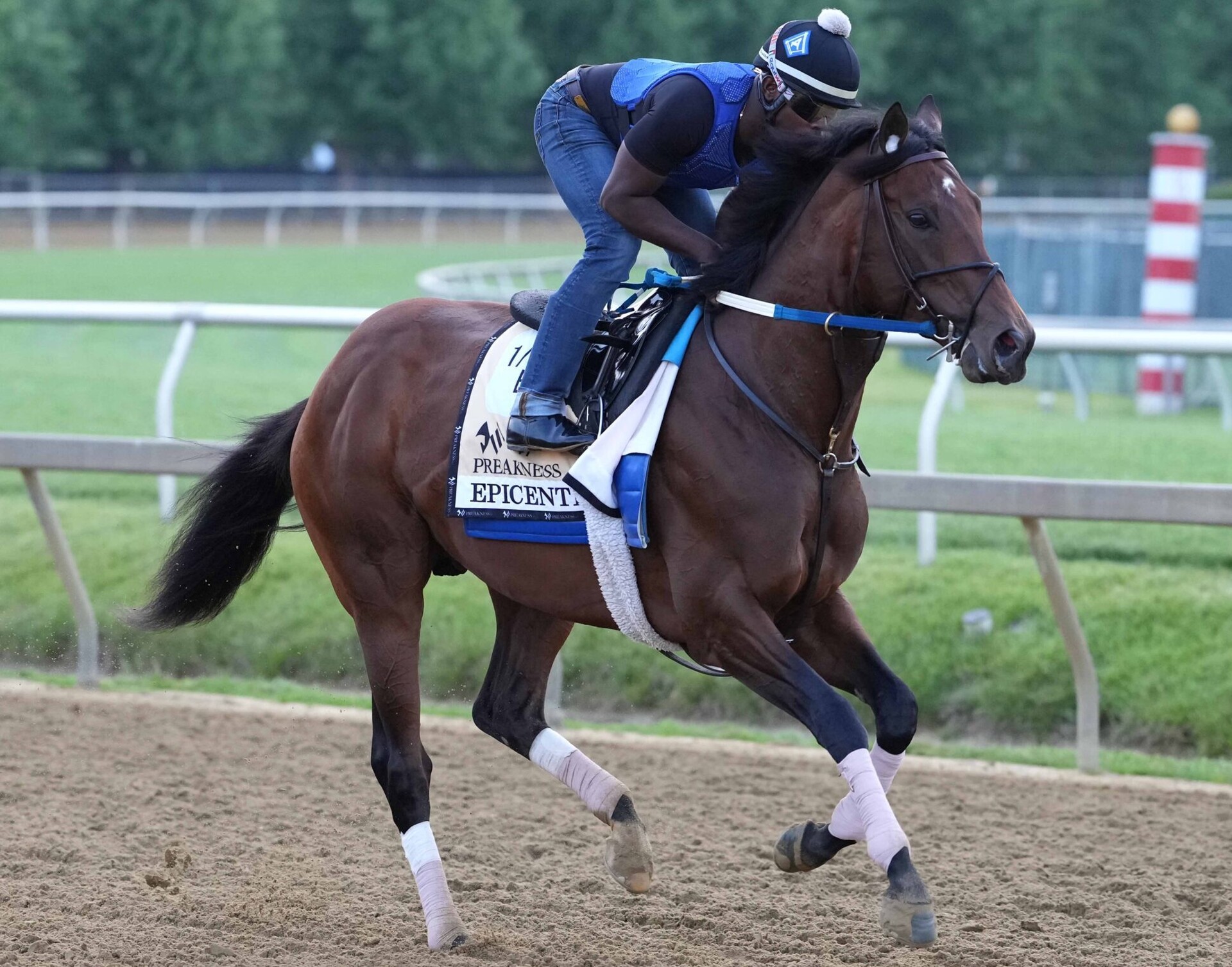 An unidentified trainer rides Epicenter through a morning workout at Pimlico Race Course ahead of the 2022 Preakness Stakes