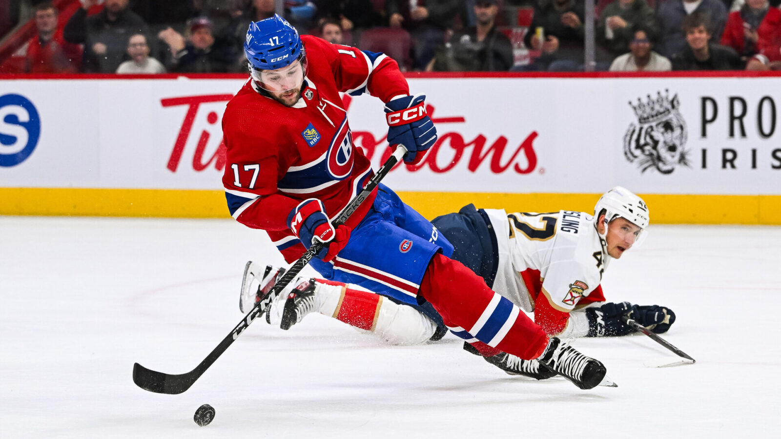 Nov 30, 2023; Montreal, Quebec, CAN; Montreal Canadiens right wing Josh Anderson (17) and Florida Panthers defenseman Gustav Forsling (42) during the first period at Bell Centre