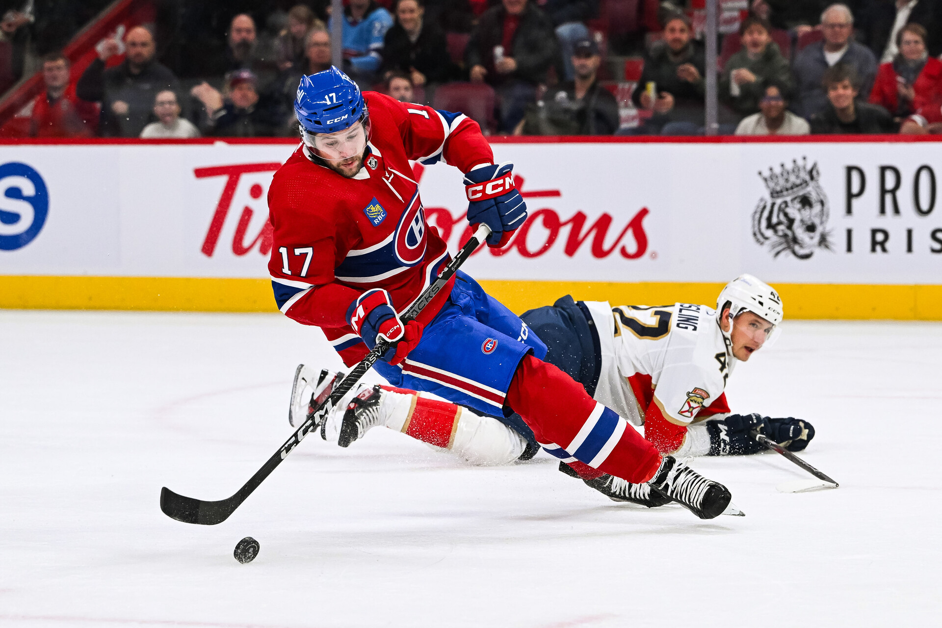 Nov 30, 2023; Montreal, Quebec, CAN; Montreal Canadiens right wing Josh Anderson (17) and Florida Panthers defenseman Gustav Forsling (42) during the first period at Bell Centre