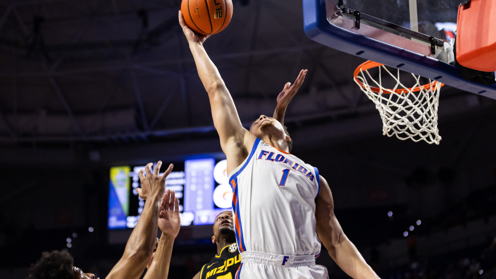 Feb 28, 2024; Gainesville, Florida, USA; Florida Gators guard Walter Clayton Jr. (1) grabs a rebound over Missouri Tigers guard Tamar Bates (2) during the first half at Exactech Arena at the Stephen C. O'Connell Center.