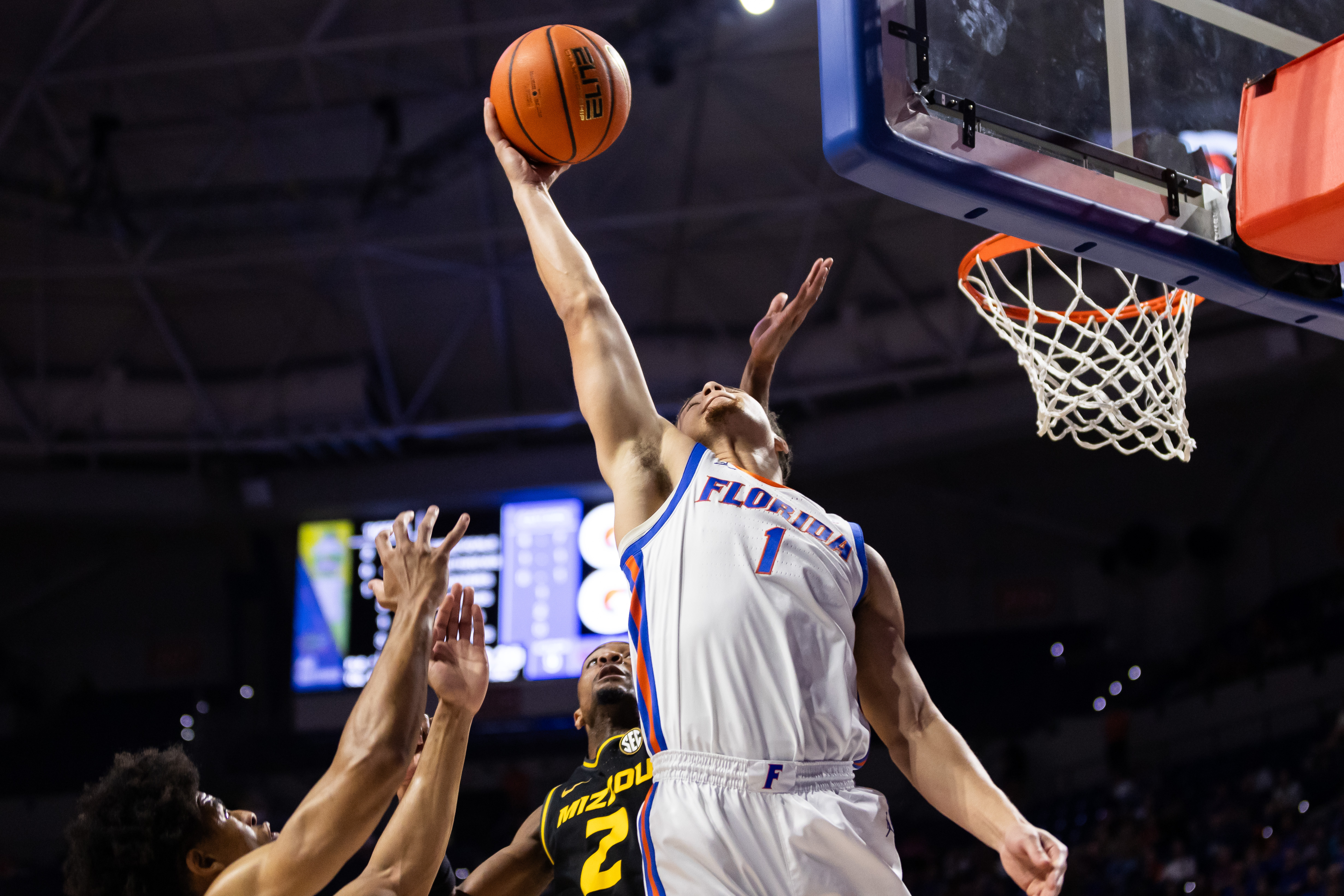 Feb 28, 2024; Gainesville, Florida, USA; Florida Gators guard Walter Clayton Jr. (1) grabs a rebound over Missouri Tigers guard Tamar Bates (2) during the first half at Exactech Arena at the Stephen C. O'Connell Center.