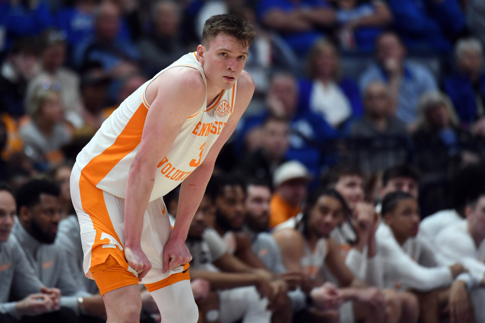 Mar 15, 2024; Nashville, TN, USA; Tennessee Volunteers guard Dalton Knecht (3) looks on from the sideline during the second half against the Mississippi State Bulldogs at Bridgestone Arena.