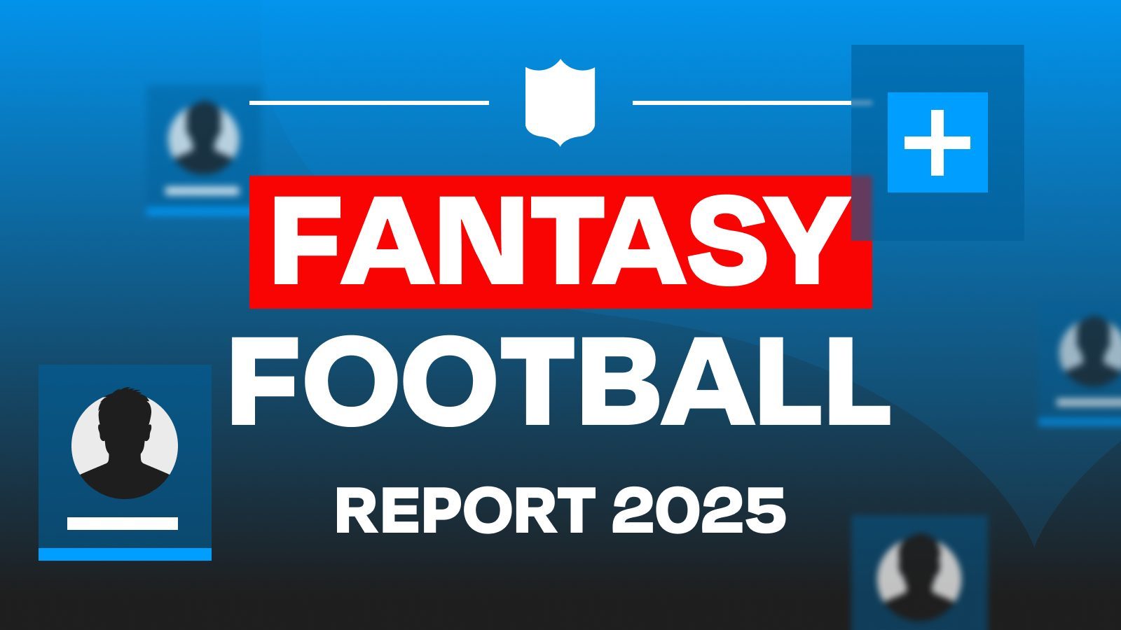 Fantasy Football Survey - Header