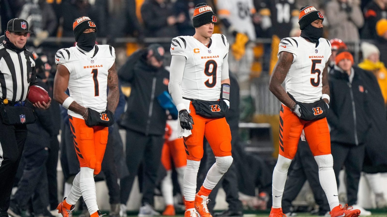 Cincinneti Bengals NFL