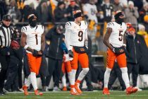Cincinneti Bengals NFL