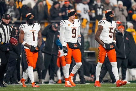 Cincinneti Bengals NFL