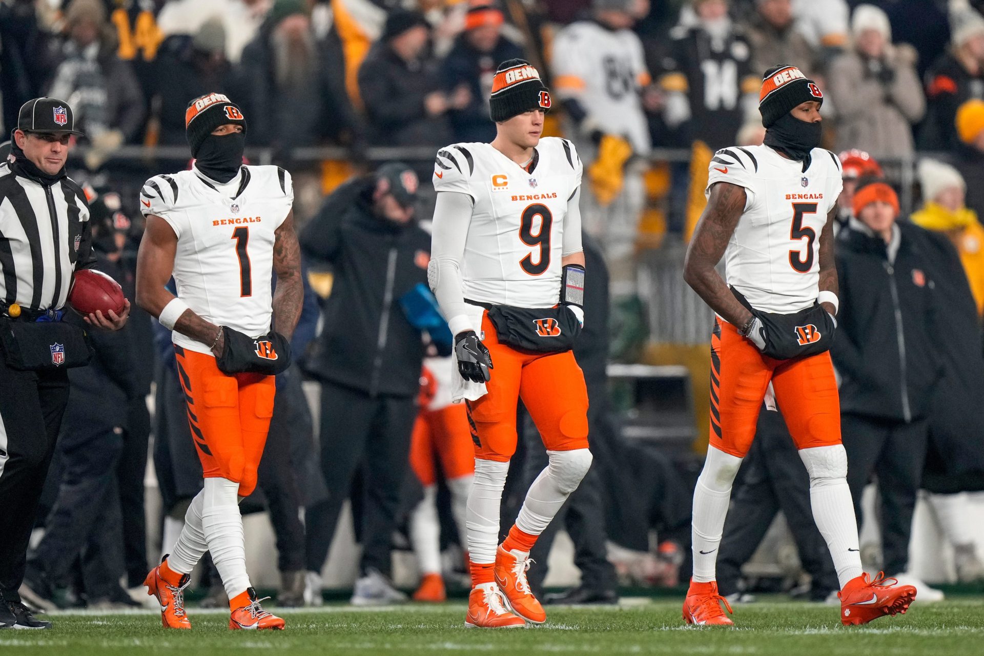 Cincinneti Bengals NFL