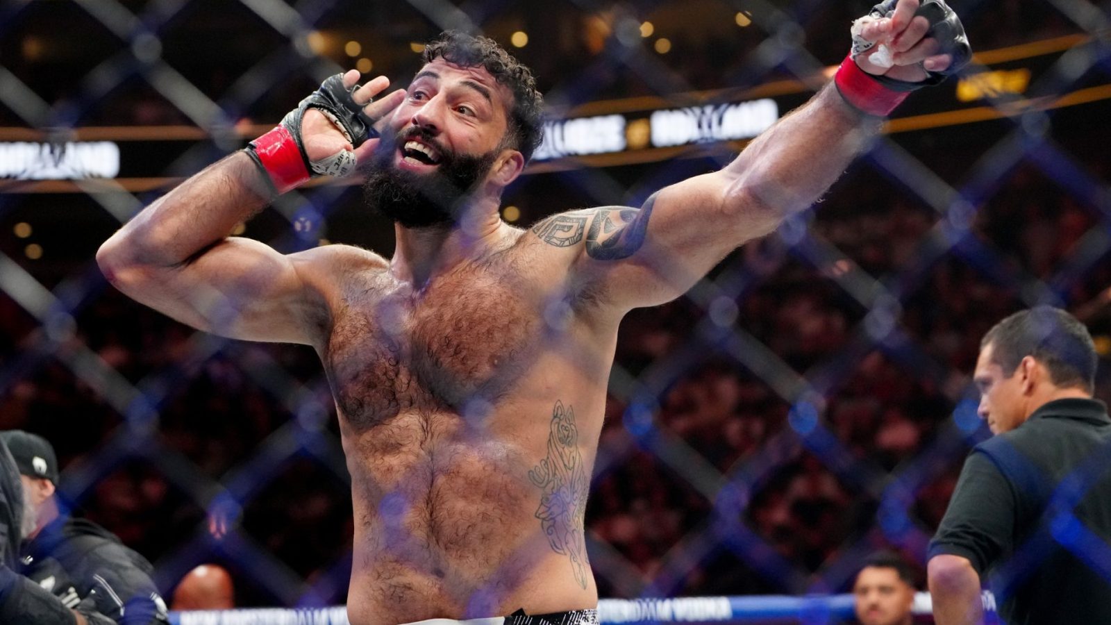 Roman Dolidze UFC
