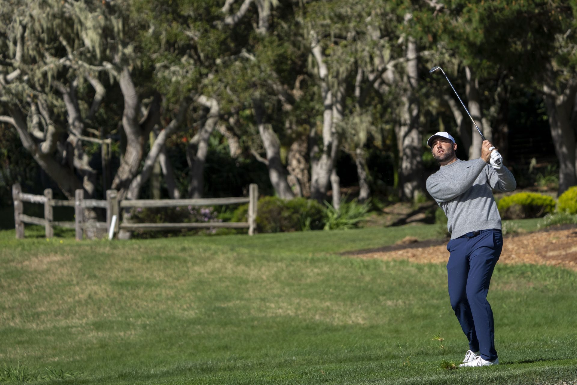 Scottie Scheffler PGA