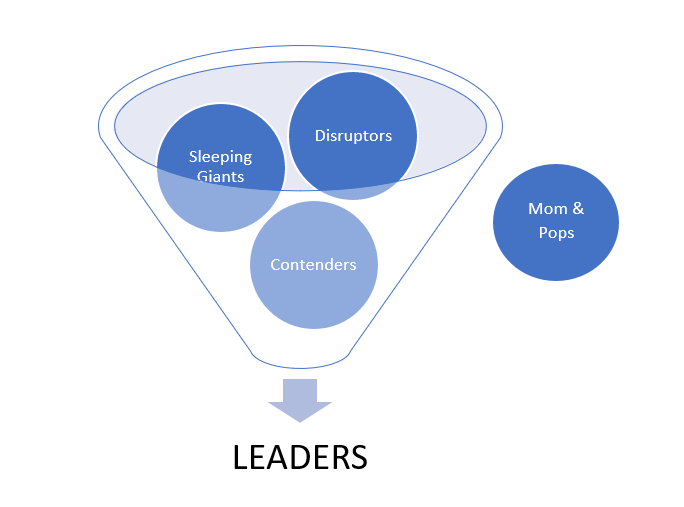 A visual depiction of the sleeping giants, disruptors, and contenders in the sports betting landscape.